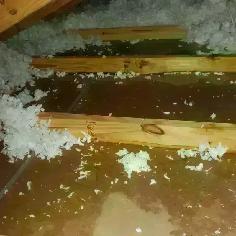 Attic Water Damage in Sun Valley, PA